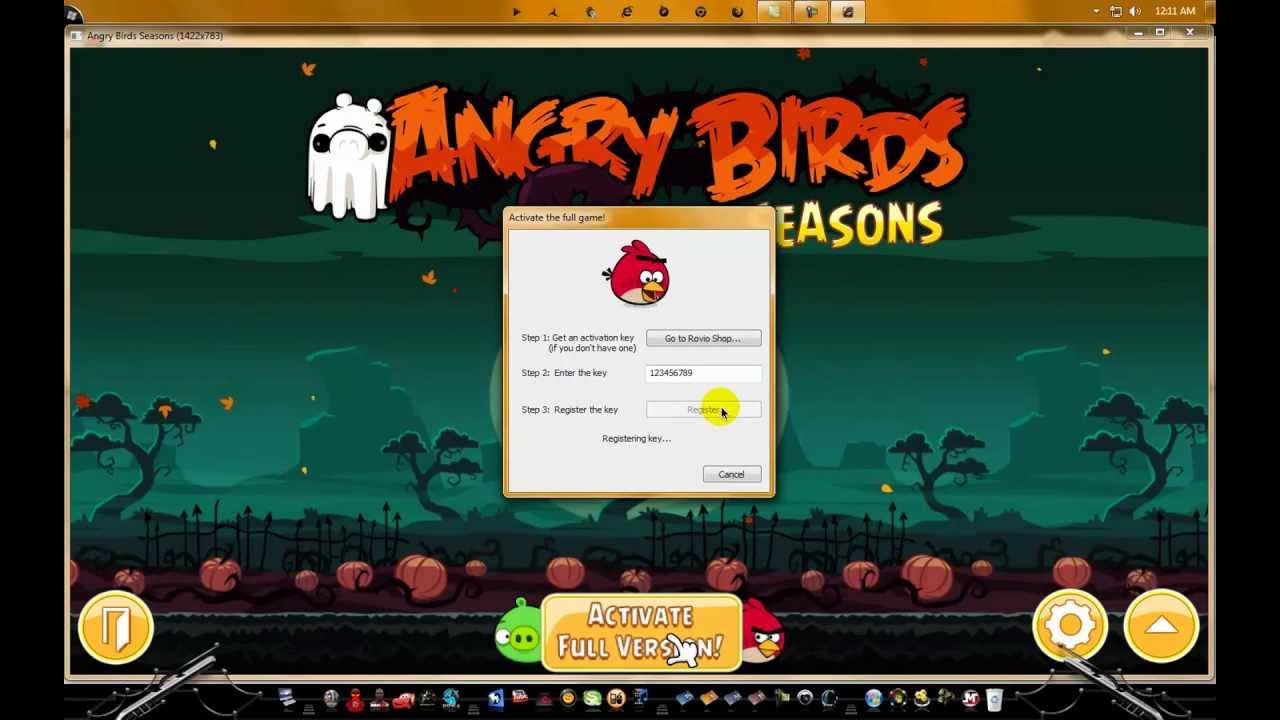 angry birds seasons activation key